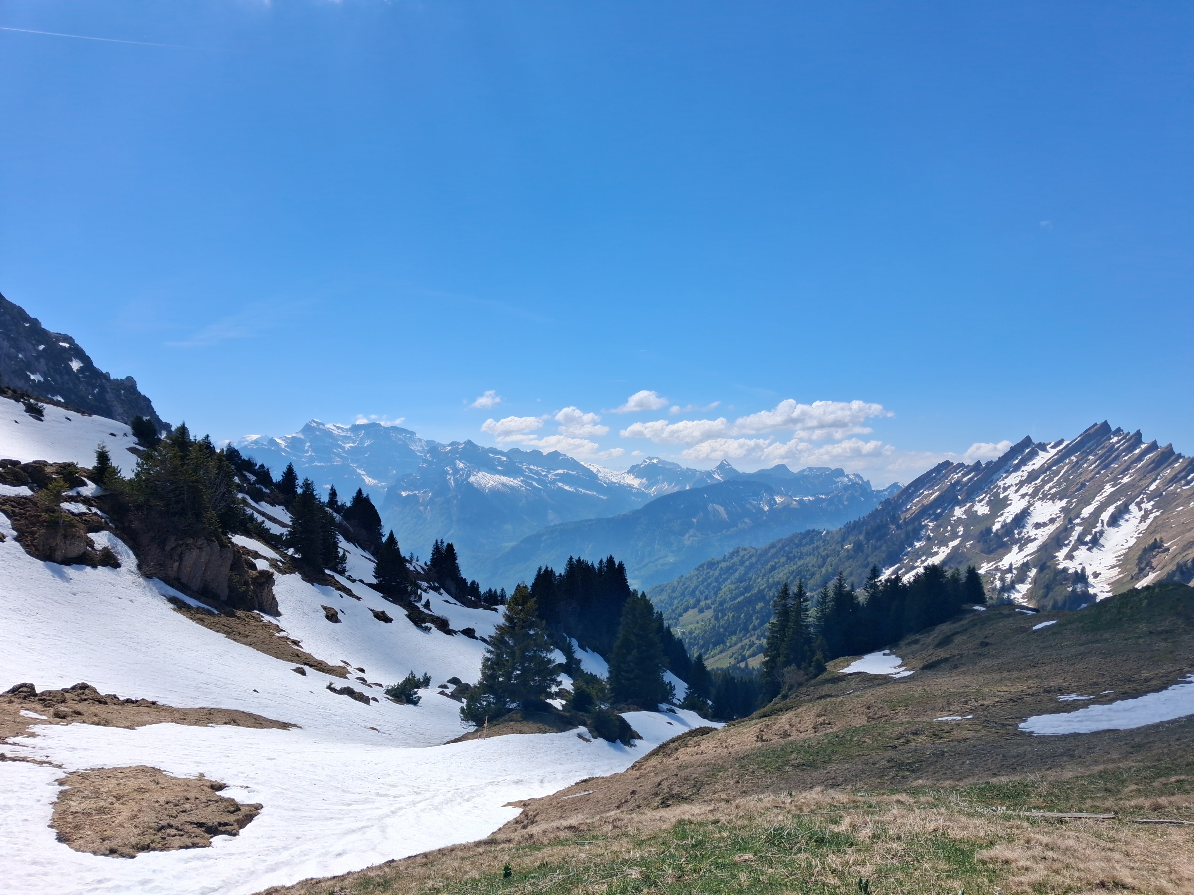 Alp Oberchäseren, 1651m a.s.l.